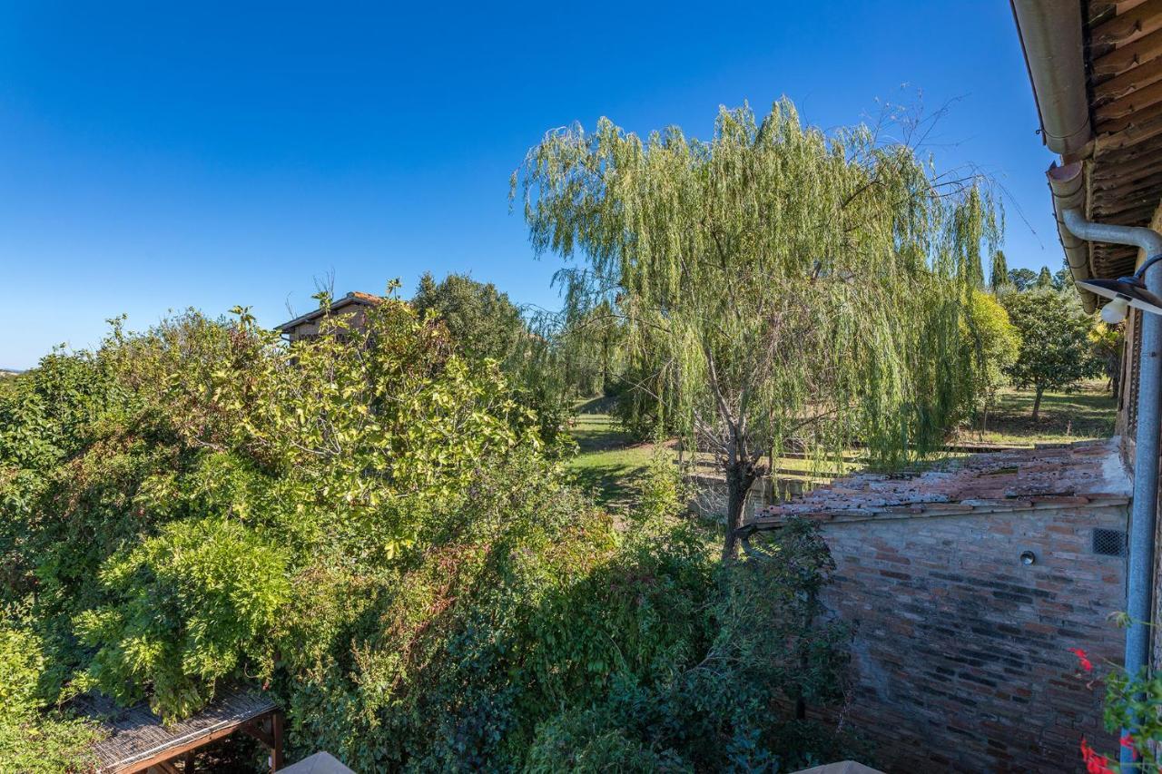 Podere Albereto Buonconvento Ngoại thất bức ảnh